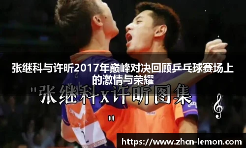 张继科与许昕2017年巅峰对决回顾乒乓球赛场上的激情与荣耀