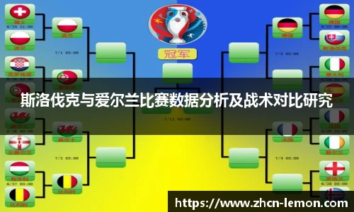 斯洛伐克与爱尔兰比赛数据分析及战术对比研究